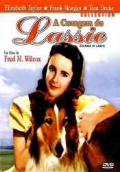 A Coragem de Lassie